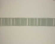 160 010 254 036841 160 010 254 036841