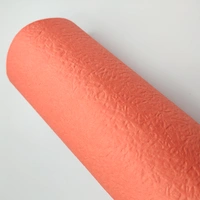 69D 003 640MM lososová